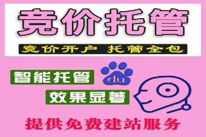 SEM外包公司案例：助力企业实现精准客户定位